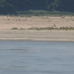 baixo-nivel-do-rio-mississippi-impacta-exportacao-de-graos-nos-eua