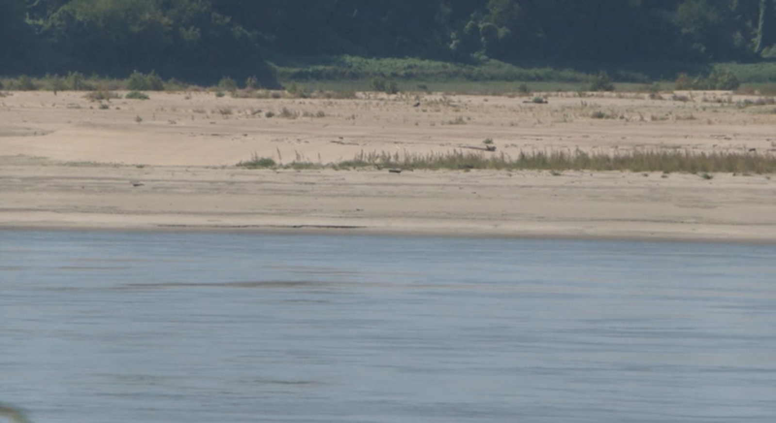 baixo-nivel-do-rio-mississippi-impacta-exportacao-de-graos-nos-eua