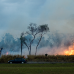 fumaca-dos-incendios-na-amazonia-encobre-grandes-cidades-do-brasil-e-se-espalha-pelo-continente