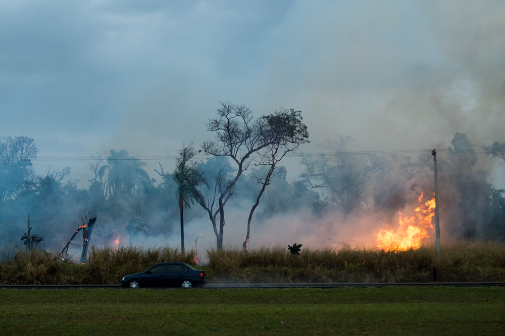 fumaca-dos-incendios-na-amazonia-encobre-grandes-cidades-do-brasil-e-se-espalha-pelo-continente