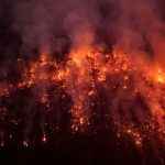 waack:-imagem-do-planalto-na-questao-ambiental-ja-virou-cinzas