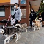 china-tera,-em-breve,-mais-pets-do-que-criancas-pequenas;-entenda-por-que-equacao-ameaca-economia