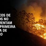 incendios-florestais:-lula-marca-reuniao-com-chefes-dos-poderes-nesta-terca-(17)