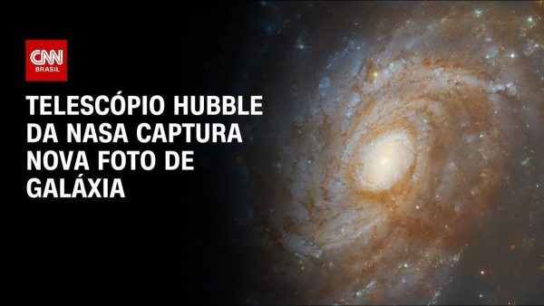 pena-maior-e-crime-hediondo:-mais-de-40-projetos-no-congresso-miram-autores-de-incendios-criminosos