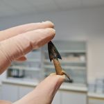 pesquisadores-encontram-pontas-de-flechas-em-um-antigo-campo-de-batalha