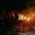 planalto-analisa-aumento-de-pena-para-crimes-ambientais