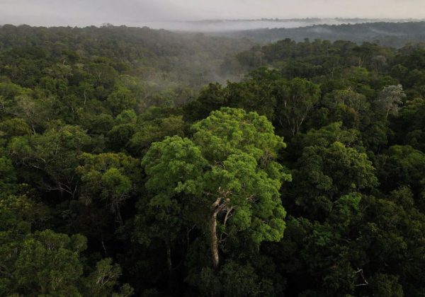 amazonia-azul-completa-20-anos-sob-ameaca-de-desprotecao-por-falta-de-orcamento