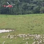 agentes-do-icmbio-sofrem-atentados-em-reserva-no-acre