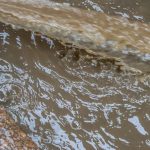 defesa-civil-gaucha-confirma-terceira-morte-provocada-pelas-chuvas