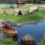 rio:-apos-galinhas-d’angola-aparecerem-mortas,-bioparque-esta-fechado