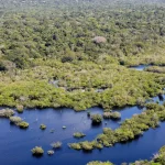 boleto-gigante-na-paulista-cobra-paises-ricos-sobre-divida-com-o-clima