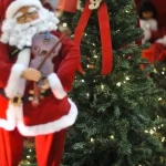 hoje-e-dia:-natal,-ecologia-e-cristina-buarque-sao-destaques