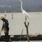 mudancas-aprovadas-para-o-seguro-defeso-previnem-fraudes,-diz-relator