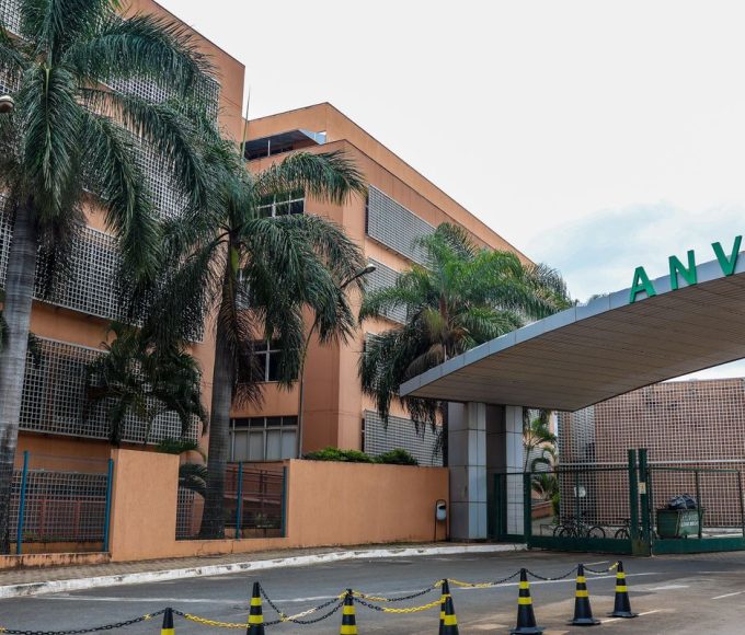 anvisa-atualiza-limites-de-curcuma-em-suplementos-alimentares