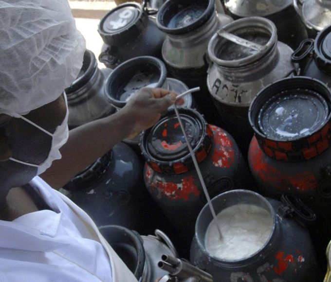 cmn-libera-linha-de-capital-de-giro-a-cooperativas-de-leite-no-pronaf