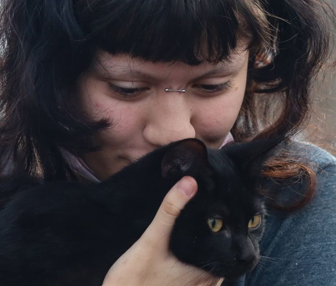 programa-da-prefeitura-de-sp-faz-castracao-gratuita-de-caes-e-gatos